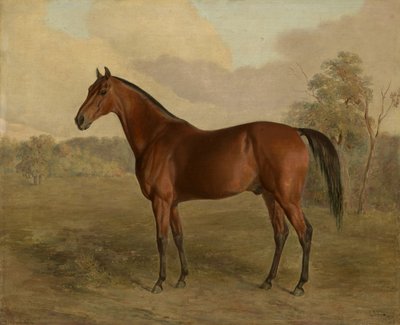 केंटकी वुडपेकर, 1834 द्वारा एडवर्ड ट्रॉय
