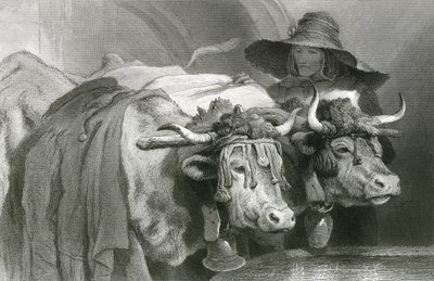 टैंक पर बैल, जिनेवा (उत्कीर्णन) द्वारा एडविन (बाद) लैंडसीर