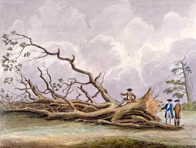 15 अक्टूबर, रोहैम्पटन, लंदन, 1780 के तूफान से क्षतिग्रस्त हुए पेड़ द्वारा एडविन एडवर्ड्स