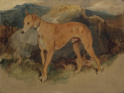 ए डियरहाउंड, 1826। द्वारा एडविन लैंडसीर