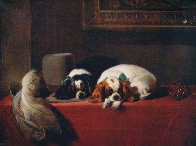 किंग चार्ल्स स्पैनियल्स द कैवलियर्स पेट्स, 1845, c1915 द्वारा एडविन लैंडसीर