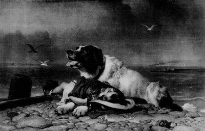 सहेजा गया !, c1856, 1911 द्वारा एडविन लैंडसीर