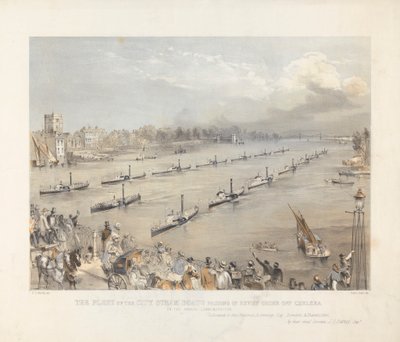  द्वारा एडविन यहूदी