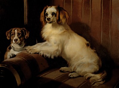 बॉन (ई) वाई और वार, c.1843 (कैनवास पर तेल) द्वारा एडविन लैंडसीर