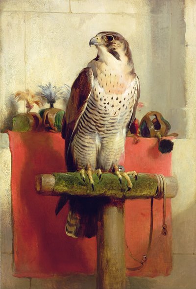 फाल्कन, 1837 द्वारा Edwin Landseer