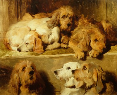 एक केनेल में घाव द्वारा Edwin Landseer