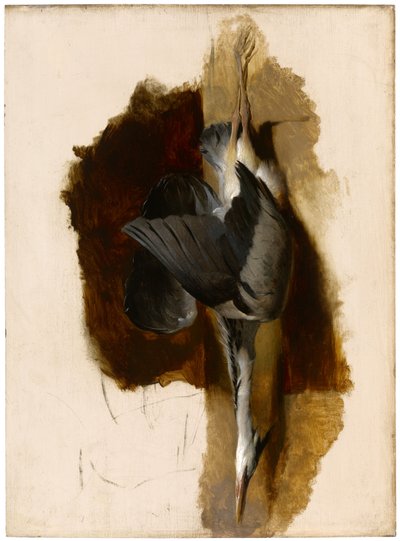 एक मृत बगुले का अध्ययन, c.1832-33 द्वारा एडविन लैंडसीर