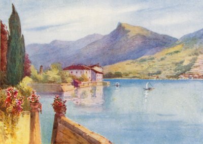  द्वारा एफी जार्डिन