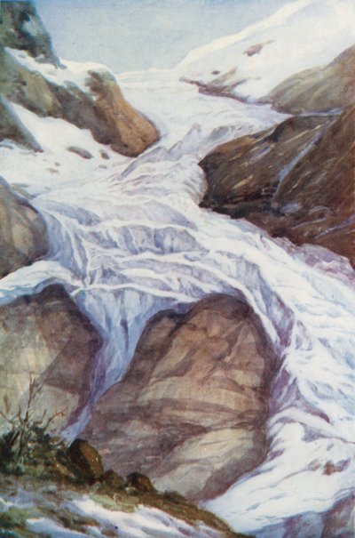  द्वारा एफी जार्डिन