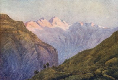  द्वारा एफी जार्डिन
