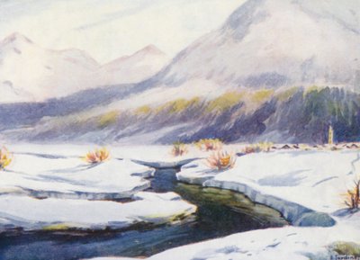  द्वारा एफी जार्डिन