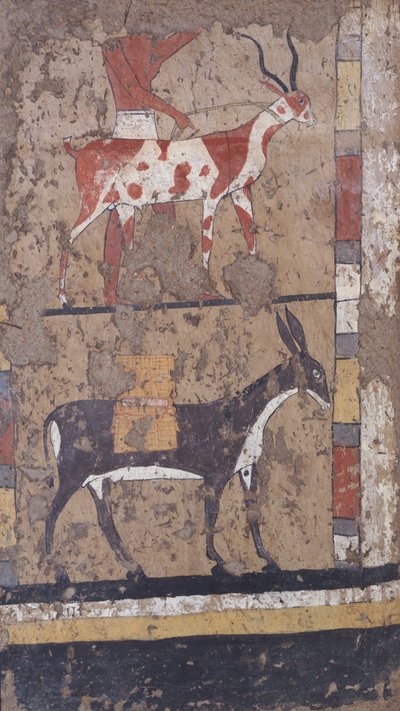  द्वारा मिस्र