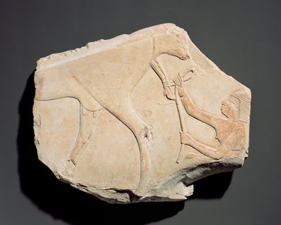 आसिफ़, थेब्स, थर्ड इंटरमीडिएट पीरियड (c.1069-664 ईसा पूर्व) (चूना पत्थर) से बछड़े के जन्म को दर्शाती एक राहत की खुशबू द्वारा मिस्र