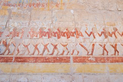  द्वारा मिस्र का 18वां राजवंश Dy