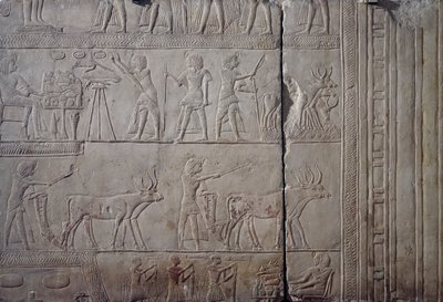  द्वारा मिस्र का 18वां राजवंश Dy