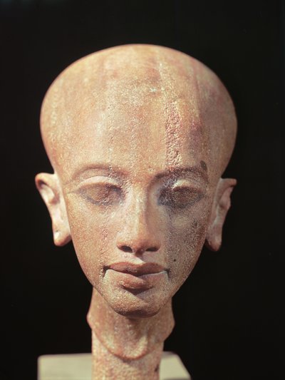किंग अचेतन (1353-1337 ई.पू.) की एक बेटी का पोर्ट्रेट बस्ट c.1375 ईसा पूर्व (160148 भी देखें) द्वारा Egyptian 18th Dynasty