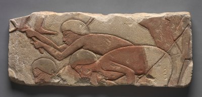  द्वारा मिस्र का 18वां राजवंश Dy