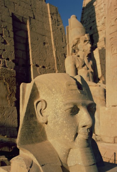 रामेसेस II (1298-32 ई.पू.) का विशाल सिर न्यू किंगडम द्वारा Egyptian 19th Dynasty