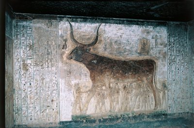  द्वारा मिस्र का 19 वां राजवंश