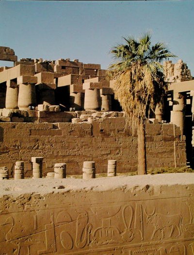रामसेस II की दीवार और टूथमोसिस का मंदिर द्वारा Egyptian 19th Dynasty