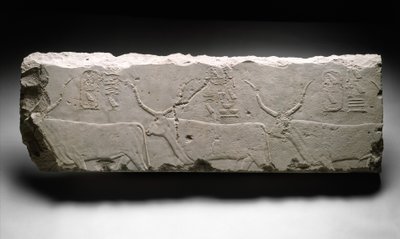 किंग खुफ़स मवेशियों के साथ राहत टुकड़ा, c.2535 (चूना पत्थर) द्वारा Egyptian 4th Dynasty