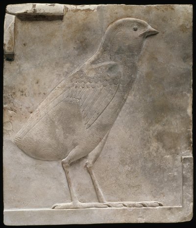 एक चूजा को दर्शाती राहत पट्टिका, c.330-305 ई.पू. द्वारा मिस्र का टॉलेमिक काल