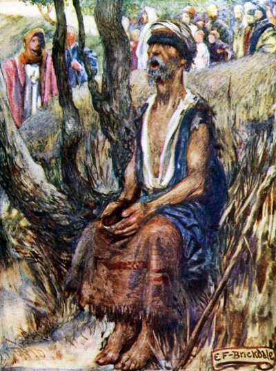  द्वारा एलेनोर फोर्टस्क्यू-ब्रिकडेल