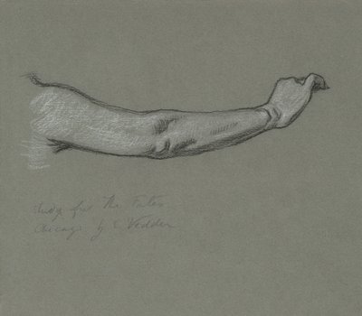 द फेट गेदरिंग इन द स्टार्स, 1884-1887 के लिए अध्ययन। द्वारा एलीहु वेडर
