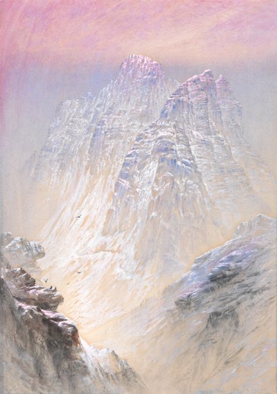  द्वारा एलिजा वाल्टन
