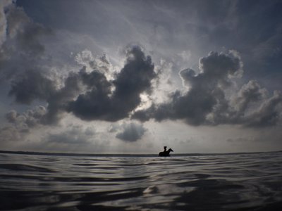  द्वारा एलिनलेटिसिया होगाबो