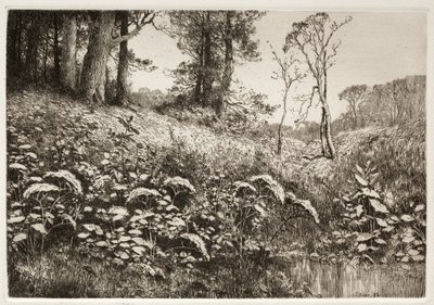 एक ग्रीष्मकालीन दोपहर, 1882। द्वारा एलिस एफ मिलर