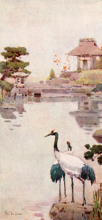  द्वारा एला डू केन