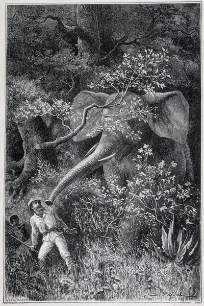"ले टूर डू मोंडे" में एक हाथी ने लिविंगस्टोन को आश्चर्यचकित कर दिया द्वारा एमिल एंटोनी बेयर्ड