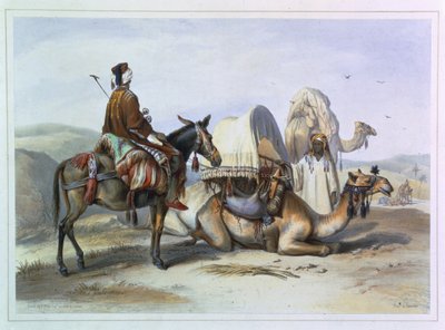 एक ऊंट के साथ काफिला, एक होदेश को धारण करने वाला, &39;द वैली ऑफ द नाइल&39; का चित्रण, लेहंर्ट, पब द्वारा उकेरा गया। लेमरसीर द्वारा, 1848 द्वारा एमिल प्रिसे डी'वेनस