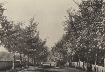 Aldeburgh, Westfields Avenue (b/w फोटो) द्वारा अंग्रेजी फोटोग्राफर