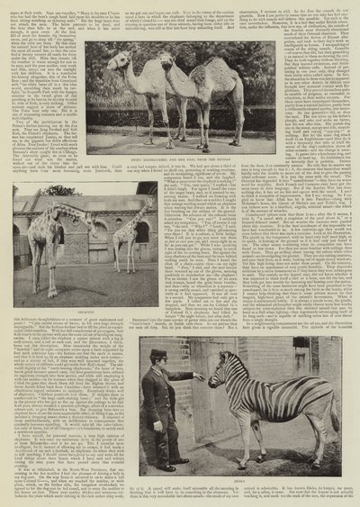 चिड़ियाघर में एक शौकिया फोटोग्राफर द्वारा अंग्रेजी फोटोग्राफर