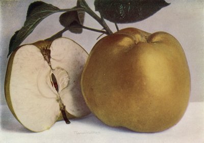  द्वारा अंग्रेजी फोटोग्राफर