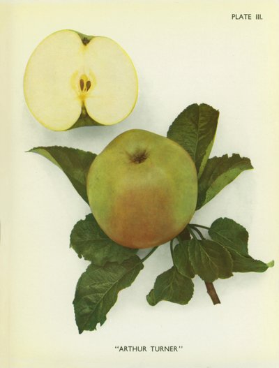  द्वारा अंग्रेजी फोटोग्राफर