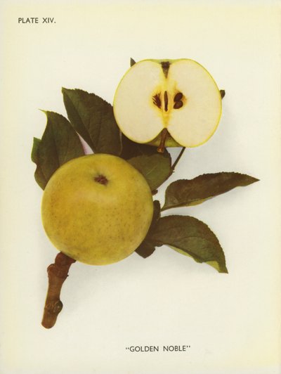  द्वारा अंग्रेजी फोटोग्राफर