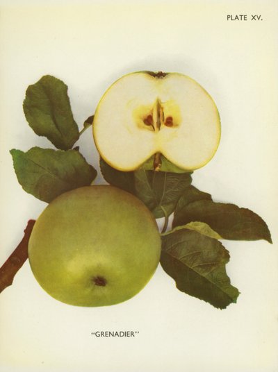  द्वारा अंग्रेजी फोटोग्राफर