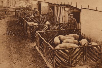  द्वारा अंग्रेजी फोटोग्राफर