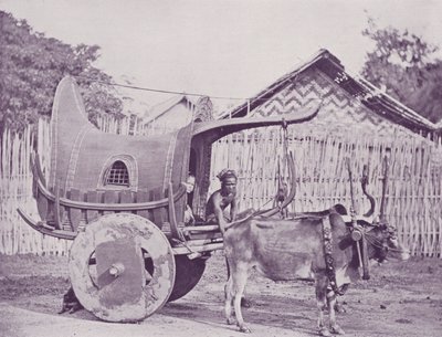 बर्मी कैरिज एंड पेयर द्वारा अंग्रेजी फोटोग्राफर