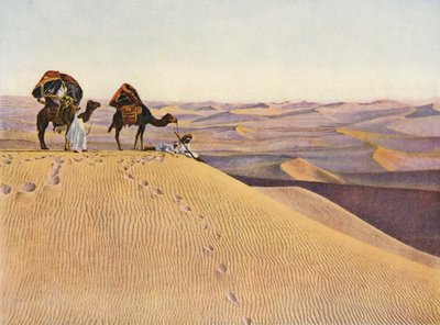  द्वारा अंग्रेजी फोटोग्राफर