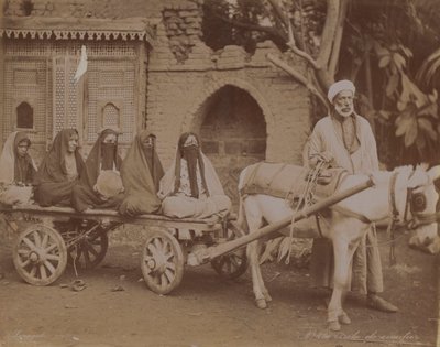 हॉर्स-ड्रोन कार्ट, काहिरा, 1893 द्वारा अंग्रेजी फोटोग्राफर
