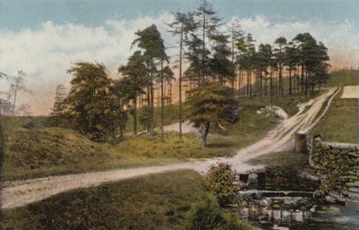 Lumsdale द्वारा अंग्रेजी फोटोग्राफर