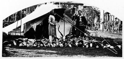 मेरी भारतीय शिकार ट्राफियां, c.1870s द्वारा अंग्रेजी फोटोग्राफर