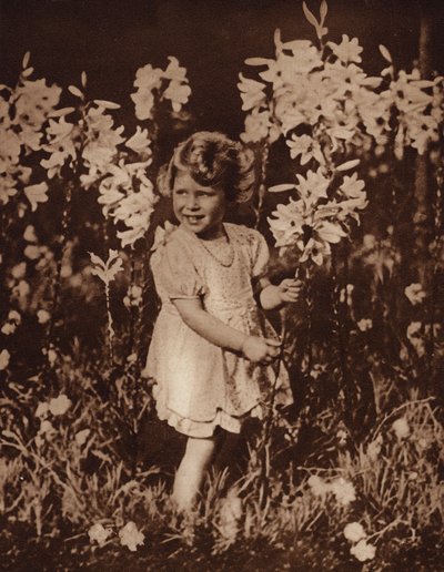  द्वारा अंग्रेजी फोटोग्राफर