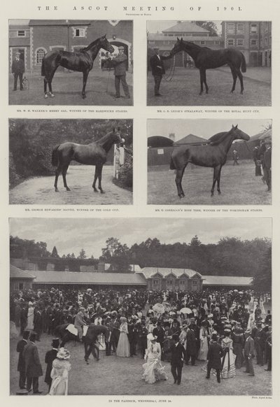 1901 की अस्कोट बैठक द्वारा English Photographer