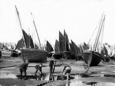 सेंट Ives हार्बर में मत्स्य पालन बेड़े, c.1880-99 द्वारा अंग्रेजी फोटोग्राफर