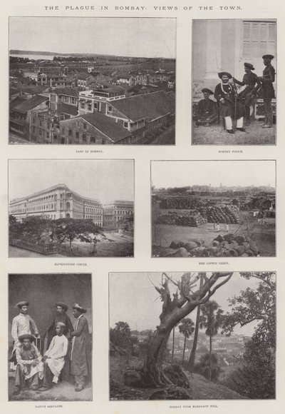 द प्लेग इन बॉम्बे, व्यू ऑफ द टाउन द्वारा English Photographer